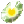 Day Evolution Stone
